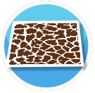 Animal Print Floor - Giraffe