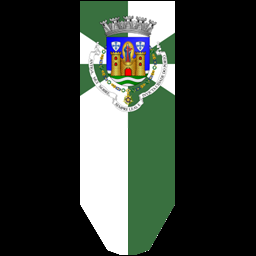 Bandeira de Porto