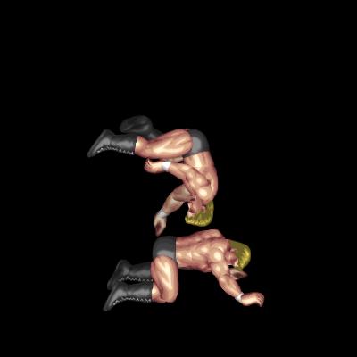 ムーンサルトぶっこ抜きジャーマンスープレックス / Moonsault Uproot German Suplex