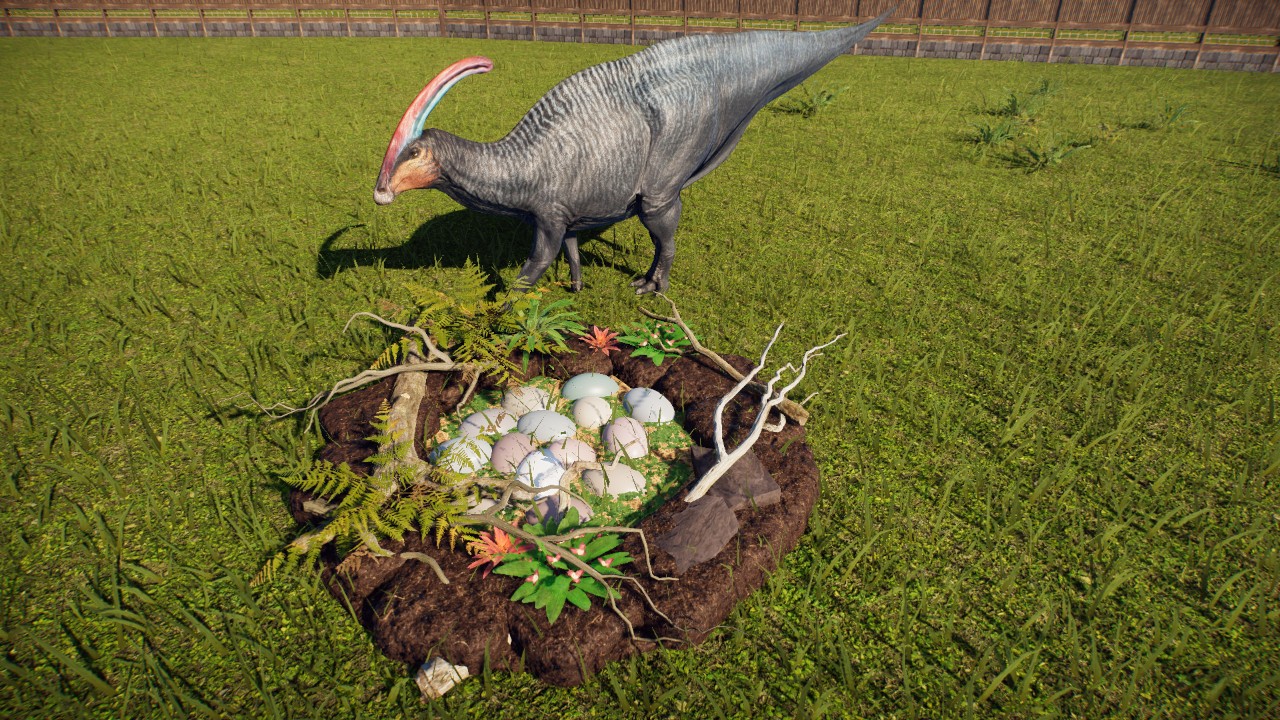 Lovely Nest