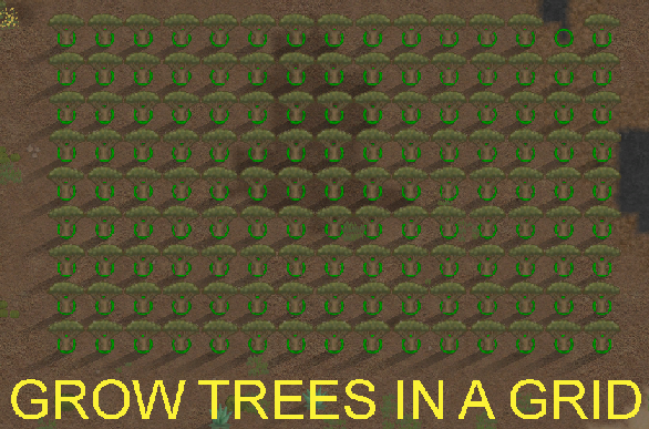 Growing Spot