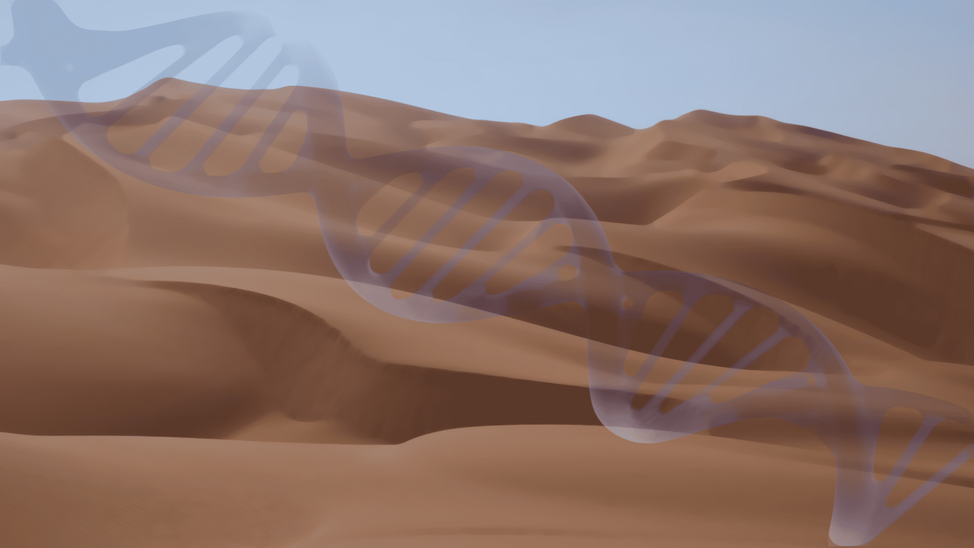 transparent skin genes
