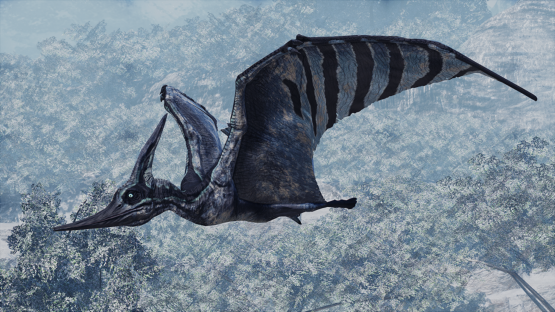 Kuura Ptera