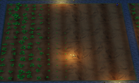 Bigger Fields