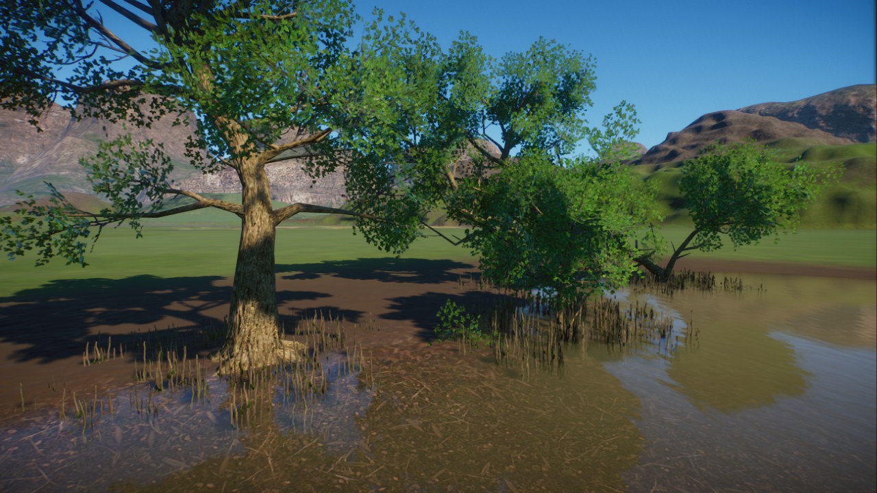 Perepat Mangroves with roots