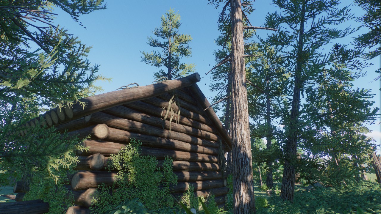Forest Scenery 10