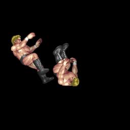 Backflip And Dropkick (飛び越えドロップキック)