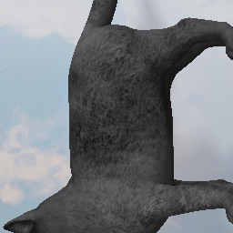cat