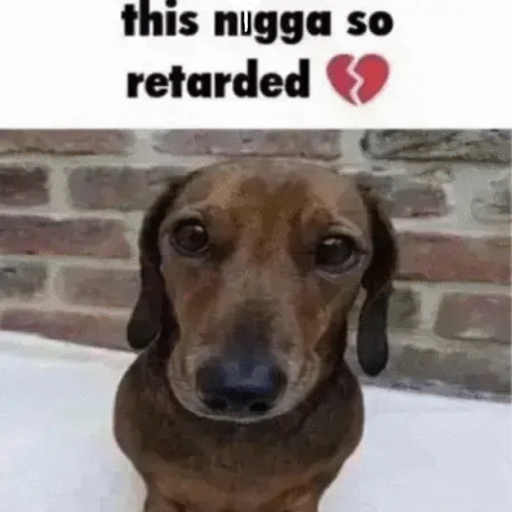 Funnydog Nextbot