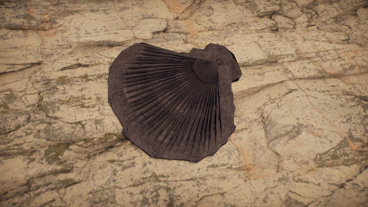Fossil 5 / Fosil 5