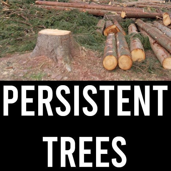 Zens Persistent Trees