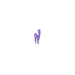 Wisteria Clump