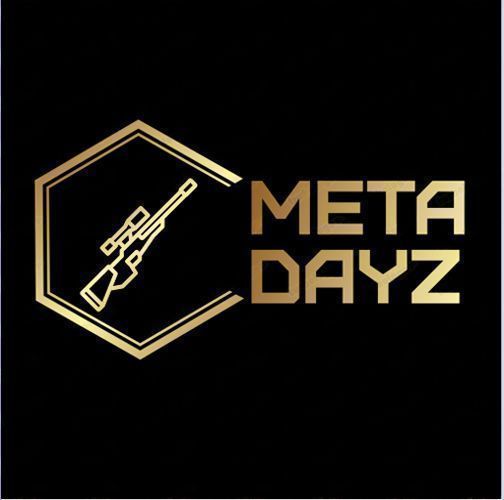 Meta DAYZ