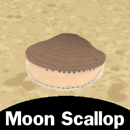 Moon Scallop