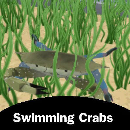 Swimming Crab Pack