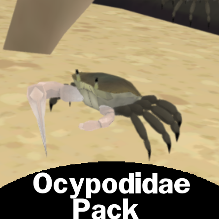 Ocypodidae Pack