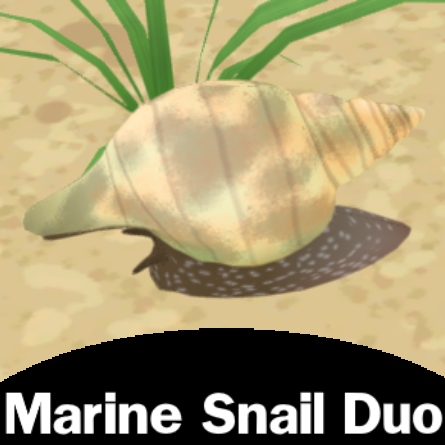 Marine Snail Duo