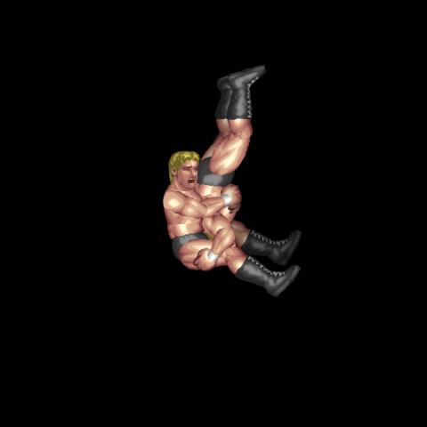 Piledriver B
