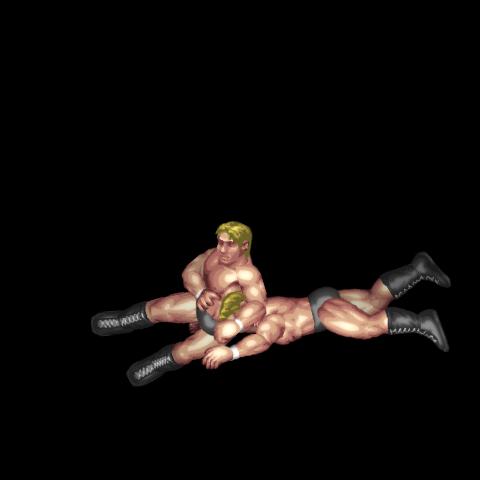 Diving Bulldog B