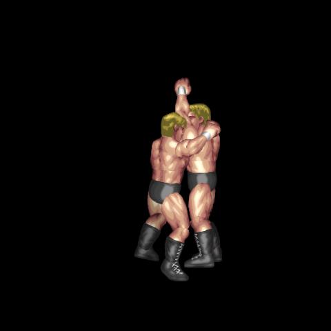 Sambo Suplex