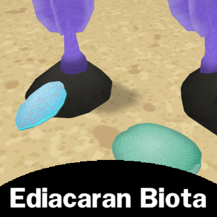 Ediacaran Biota
