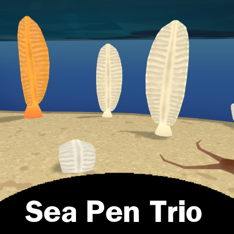 Sea Pen Trio