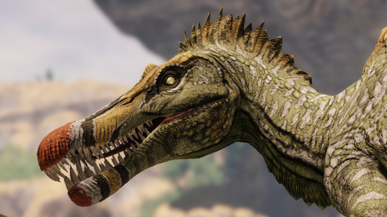 Cactus Spino (Summer 2022)