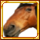 Demonjay's Funnies – tModLoader Mod