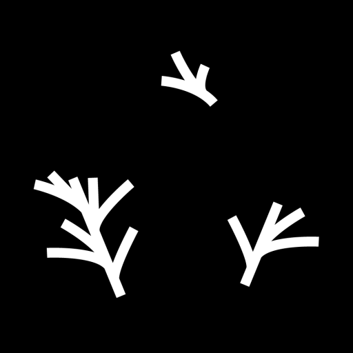 kayhmi