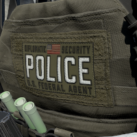 Diplomatic Security Service Patch