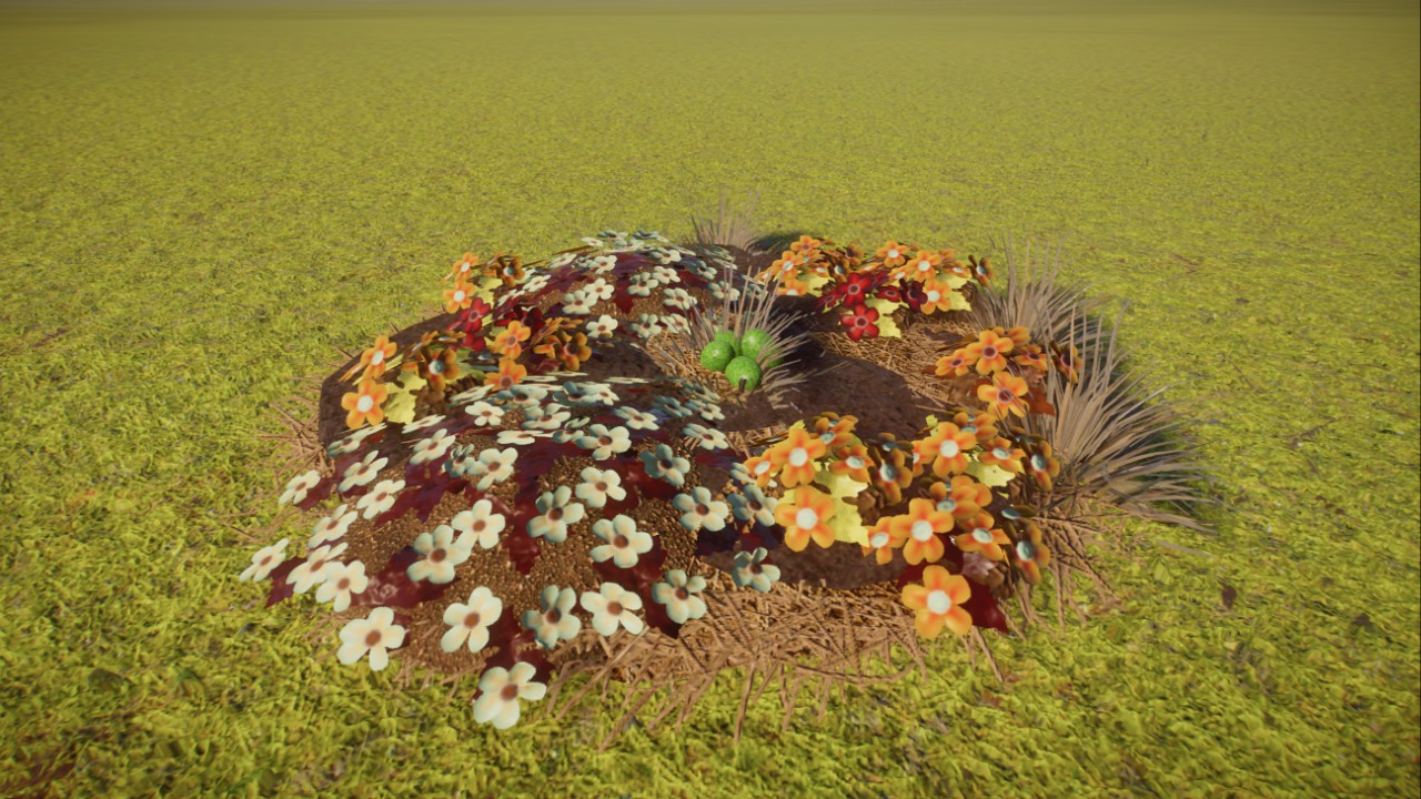 Fake Cassowary Nest