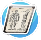 Medical Illustrations - Body 01