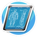 Medical Illustrations - Body (b)