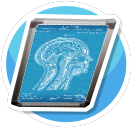 Medical Illustrations Brain (b)