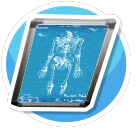 Medical Illustrations Mid (b)
