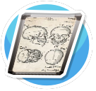 Medical Illustrations Skull