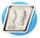 Medical Illustrations Spine