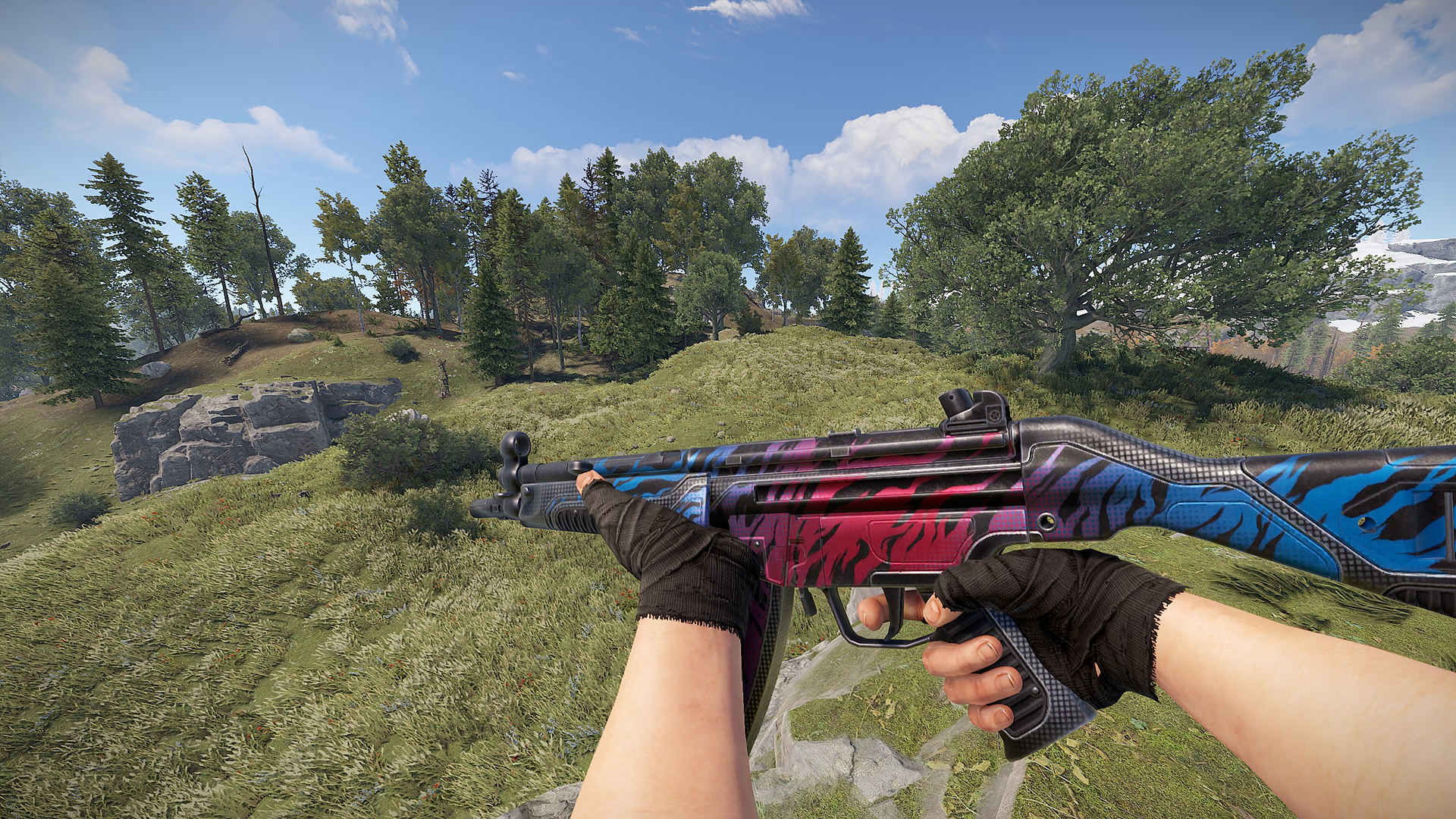 Vortex MP5