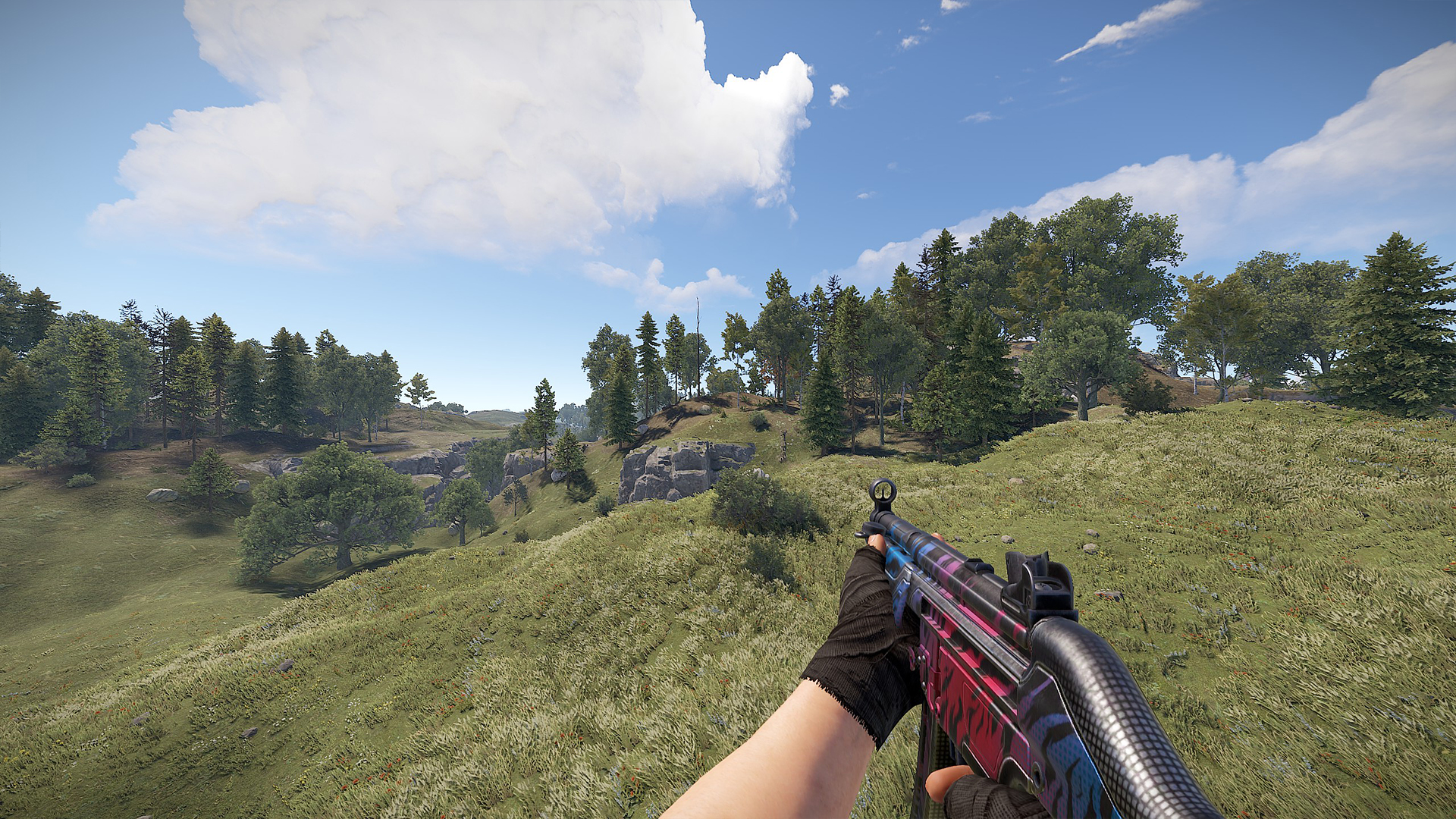 Vortex MP5