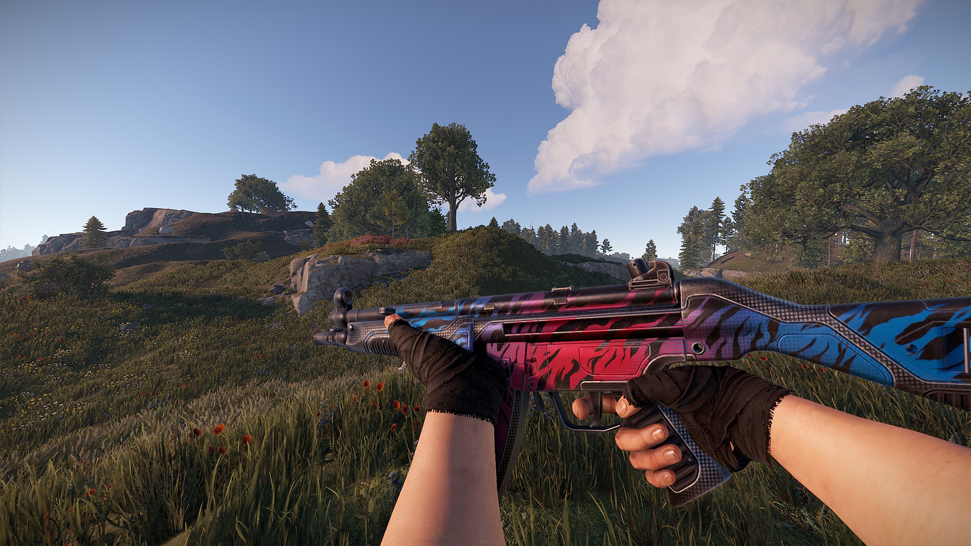 Vortex MP5