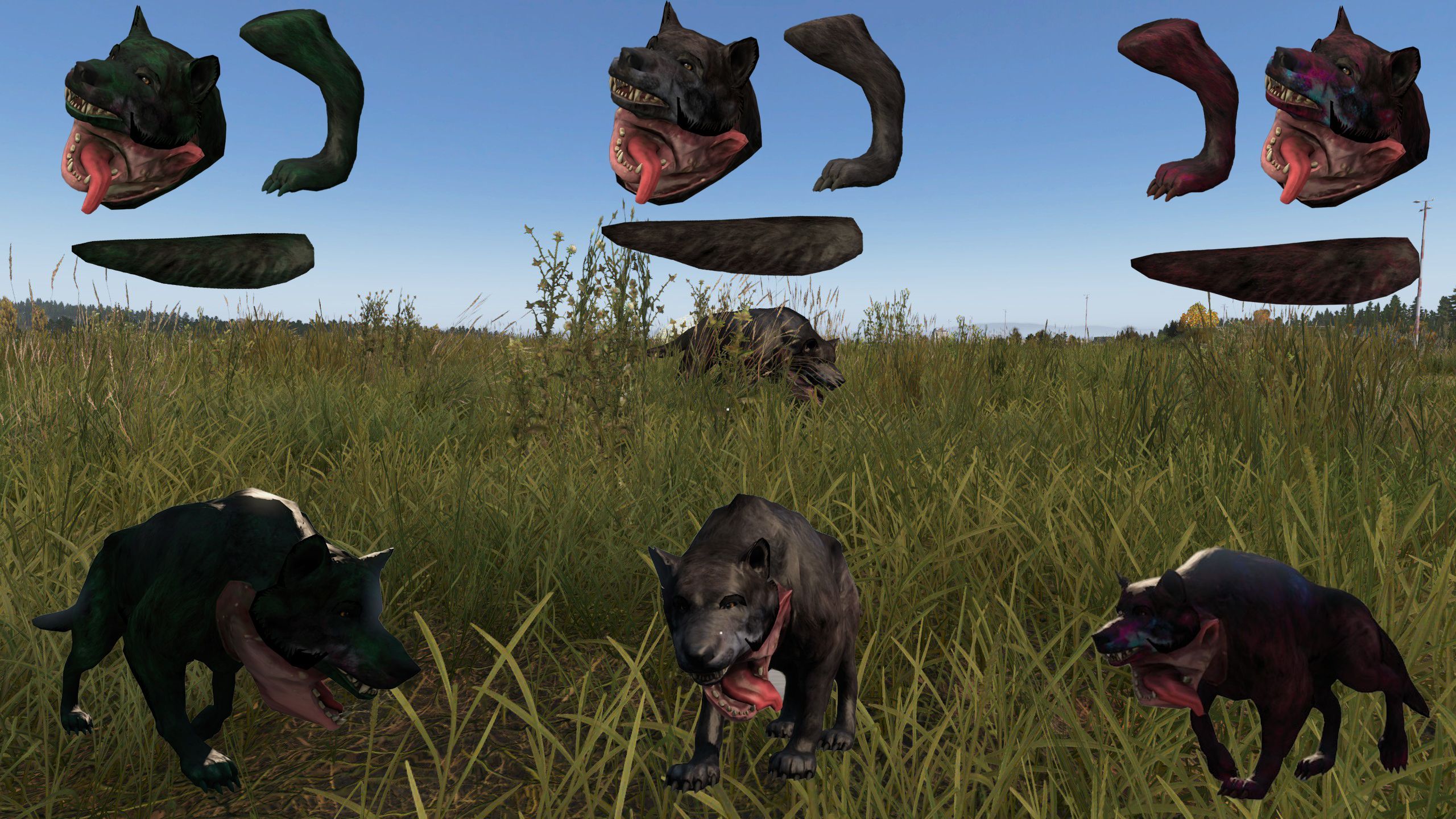 wolf  mutant