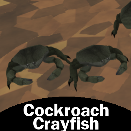 Cockroach Crayfish