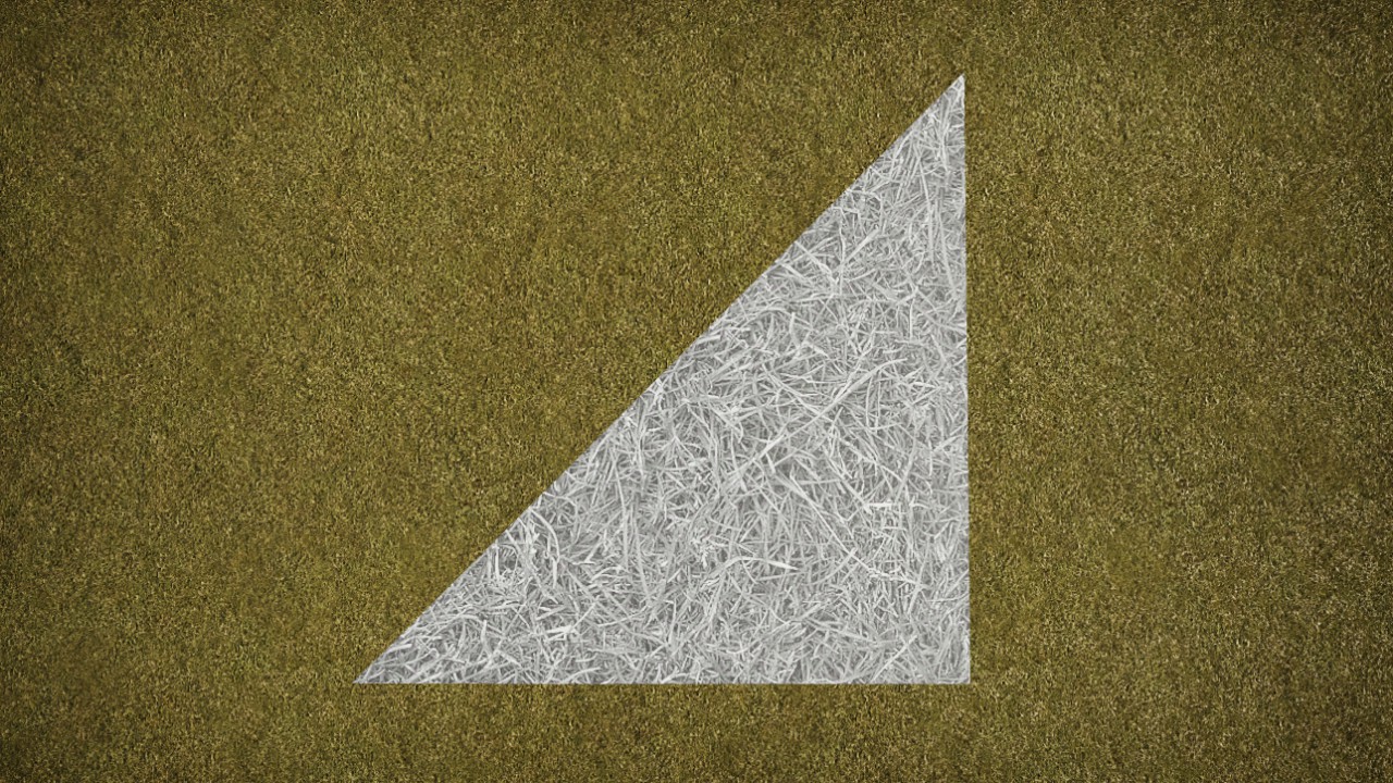 B&W Grass Bottom Right 4x4 Grid Version