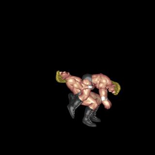 Wheelbarrow Tazplex