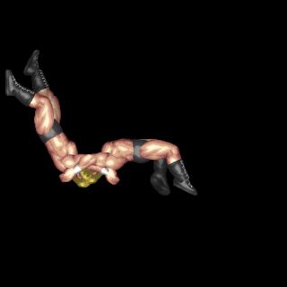 2nd Rope Head and Arms Tazplex