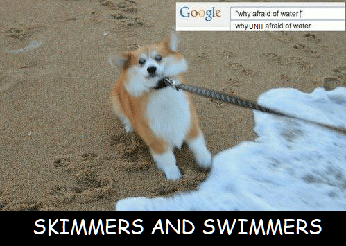 Skimmers & Swimmers & Sky-flippers