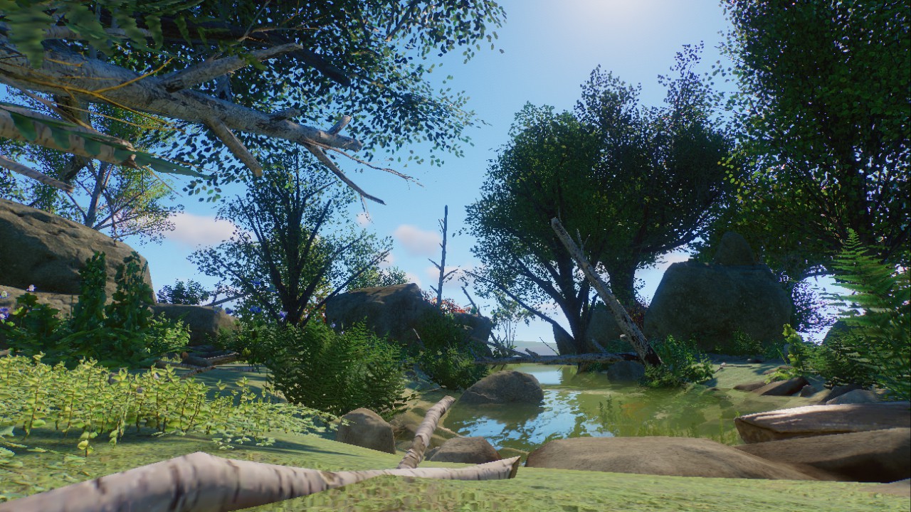 Nature Scenery 4