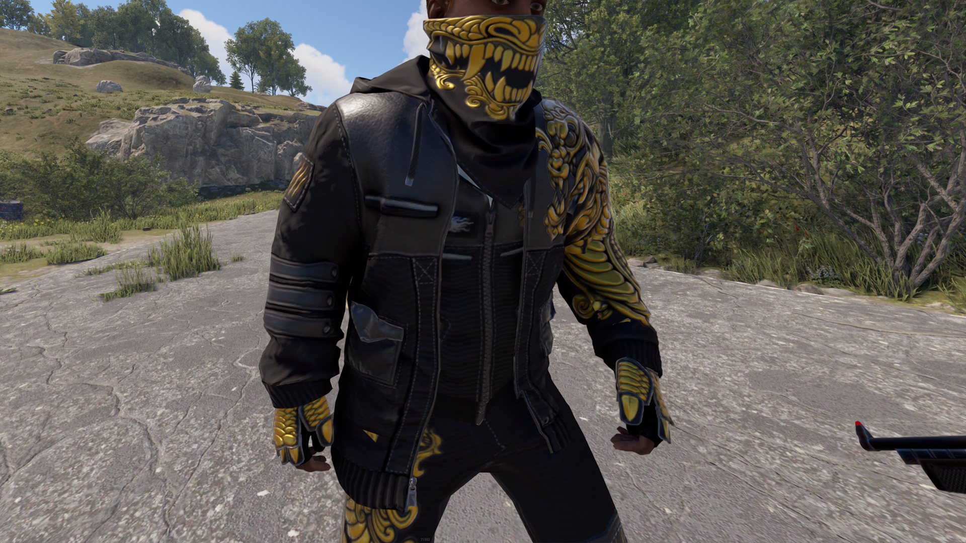 Dragon Rage Jacket