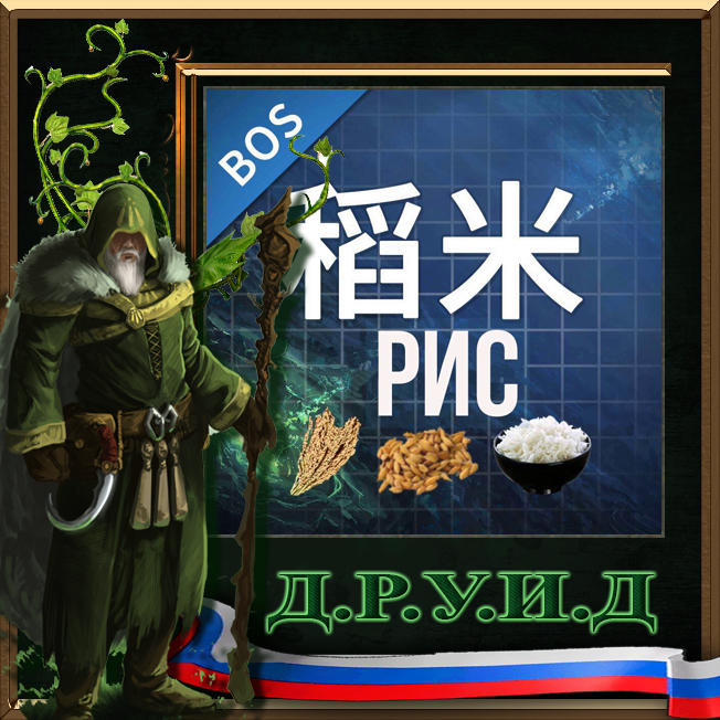 [BOS]Rice Rus