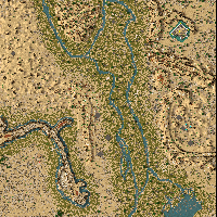 The Desert Trial